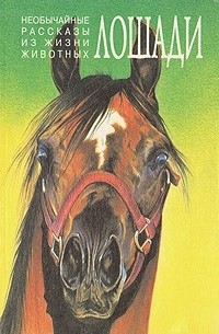 Необычайные рассказы из жизни животных. Лошади. Ослы