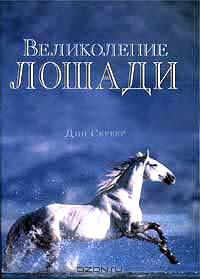 Дин Сервер - Великолепие лошади