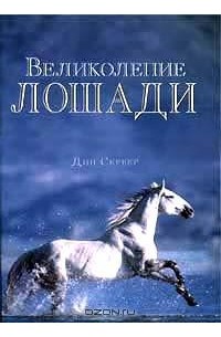 Дин Сервер - Великолепие лошади