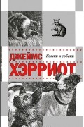 Джеймс Хэрриот - Кошки и собаки