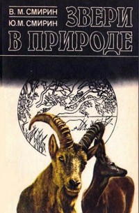 Звери в природе