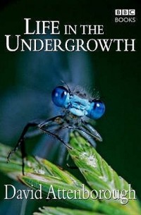 David Attenborough - Life in the Undergrowth