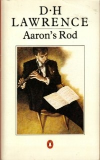 D. H. Lawrence - Aaron's Rod