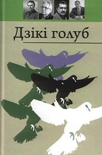 без автора - Дзікі голуб