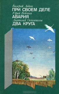  - При своем деле. Авария. Два круга (сборник)