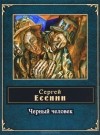 Сергей Есенин - Черный человек (сборник)