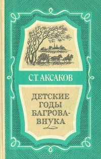 Сочинение по теме Аксаков: Детские годы Багрова-внука