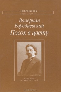 Валерий Бородаевский - Посох в цвету