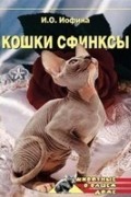 Нестерова Дарья - Кошки - Сфинксы