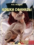 Нестерова Дарья - Кошки - Сфинксы