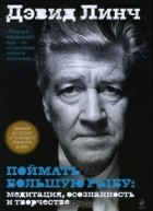 Дэвид Линч - Поймать большую рыбу. Медитация, осознанность и творчество