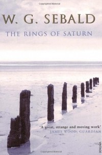 Винфрид Георг Зебальд - The Rings of Saturn – An English Pilgrimage