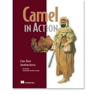 Camel in Action — Клаус Ибсен, Jonathan Anstey