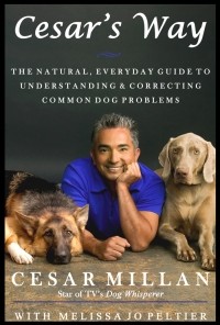  - Cesar's Way: The Natural, Everyday Guide to Understanding & Correcting Common Dog Problems