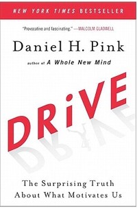 Daniel Pink - Drive: The Surprising Truth About What Motivates Us