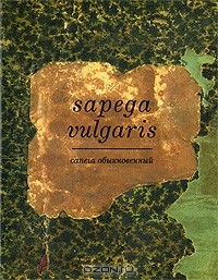 М. Сапего - Сапега обыкновенный