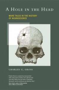 A Hole in the Head – More Tales in the History of Neuroscience