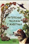 без автора - Интересные рассказы о животных