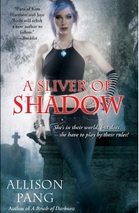 Allison Pang - A Sliver of Shadow