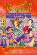 W.I.T.C.H. Путеводитель по миру чародеек. Книга 2