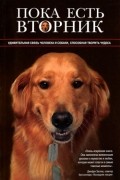 Пока есть Вторник.  Удивительная связь человека и собаки, способная творить чудеса