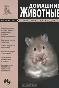 Домашние животные