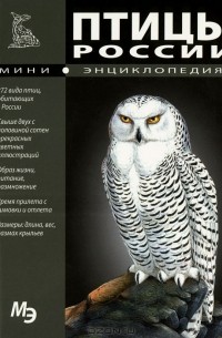 Птицы России. Мини-энциклопедия