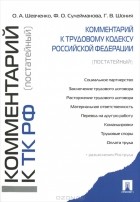  - Комментарий к Трудовому кодексу Российской Федерации