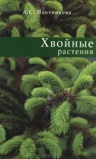 Л. С. Плотникова - Хвойные растения