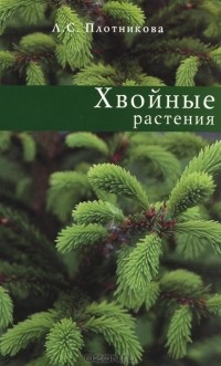 Л. С. Плотникова - Хвойные растения