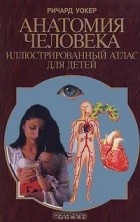 Ричард Уокер - Анатомия человека. Иллюстрированный атлас для детей