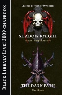Shadow Knight & The Dark Path