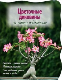 Екатерина Волкова - Цветочные диковины на вашем подоконнике