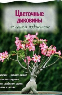 Екатерина Волкова - Цветочные диковины на вашем подоконнике