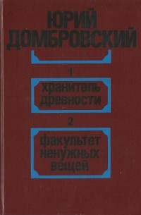 Домбровский факультет ненужных вещей презентация