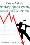 Игорь Вагин - Как выбраться из ямы, или Не дайте кризису вас съесть! (аудиокнига MP3)