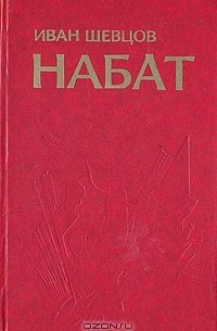Иван Шевцов - Набат