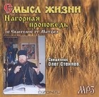 Протоирей Олег Стеняев - Смысл жизни. Нагорная проповедь по Евангелию от Матфея (аудиокнига MP3)