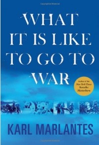 Karl Marlantes - What It Is Like to Go to War