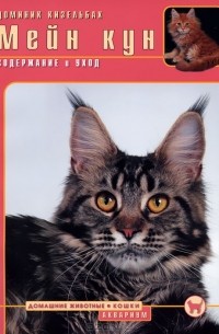 Мейн кун. Содержание и уход