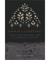 Дэвид Слоан Уилсон - Darwin's Cathedral: Evolution, Religion, and the Nature of Society