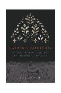 Дэвид Слоан Уилсон - Darwin's Cathedral: Evolution, Religion, and the Nature of Society