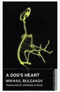 Mikhail Bulgakov - A Dog's Heart