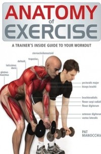 Pat Manocchia - Anatomy of Exercise: A Trainer's Inside Guide to Your Workout