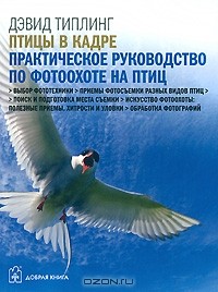 Дэвид Типлинг - Птицы в кадре. Практическое руководство по фотоохоте на птиц