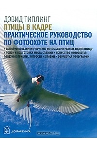 Дэвид Типлинг - Птицы в кадре. Практическое руководство по фотоохоте на птиц