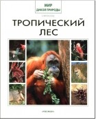 Коллектив авторов - Тропический лес