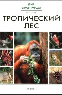 Коллектив авторов - Тропический лес