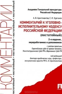  - Комментарий к Уголовному Кодексу Российской Федерации