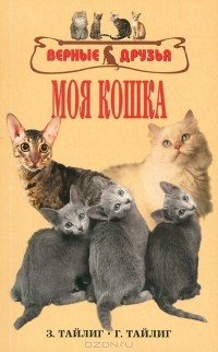  - Моя кошка